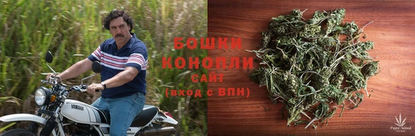 стаф Богородицк