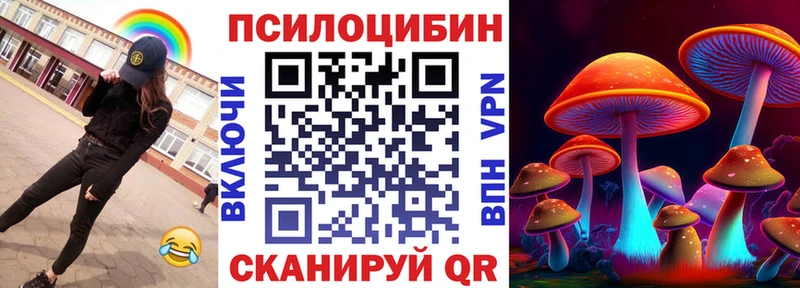 Галлюциногенные грибы Psilocybine cubensis  kraken ONION  Канаш 